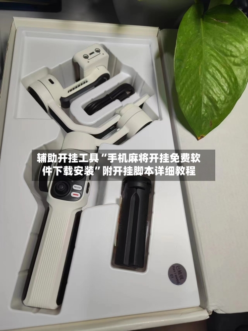 辅助开挂工具“手机麻将开挂免费软件下载安装	”附开挂脚本详细教程-第3张图片