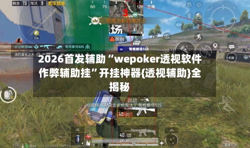 2026首发辅助“wepoker透视软件作弊辅助挂”开挂神器{透视辅助}全揭秘-第3张图片