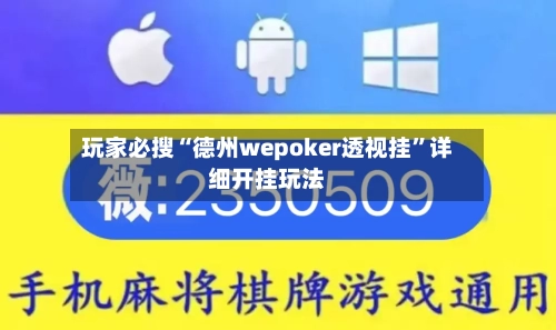 玩家必搜“德州wepoker透视挂”详细开挂玩法