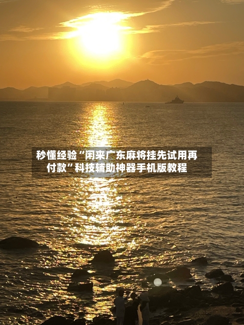 秒懂经验“闲来广东麻将挂先试用再付款”科技辅助神器手机版教程-第2张图片