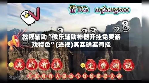 教程辅助“微乐辅助神器开挂免费游戏特色”(透视)其实确实有挂