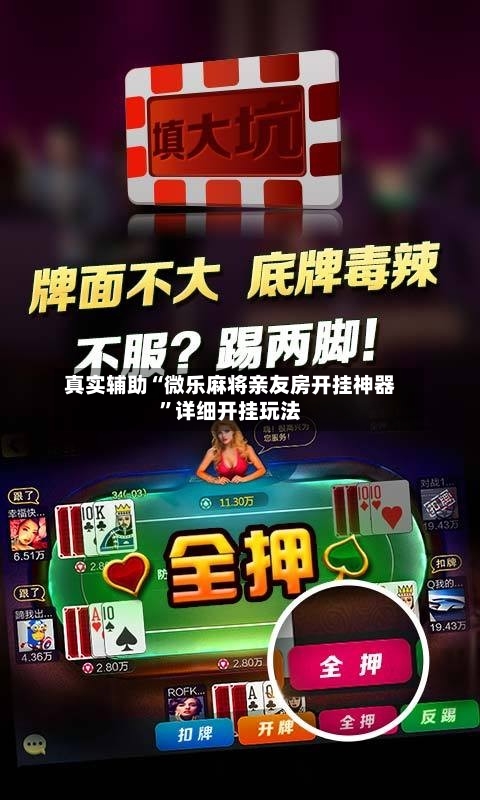 真实辅助“微乐麻将亲友房开挂神器	”详细开挂玩法-第2张图片