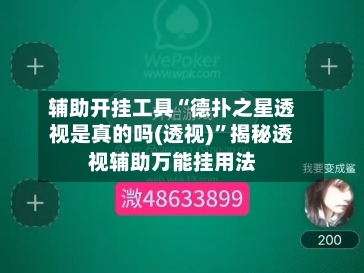 辅助开挂工具“德扑之星透视是真的吗(透视)”揭秘透视辅助万能挂用法-第2张图片