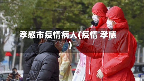 孝感市疫情病人(疫情 孝感)