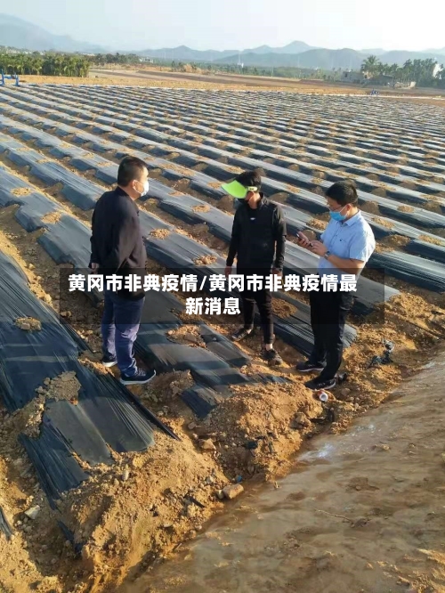 黄冈市非典疫情/黄冈市非典疫情最新消息