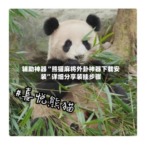 辅助神器“熊猫麻将外卦神器下载安装”详细分享装挂步骤-第3张图片