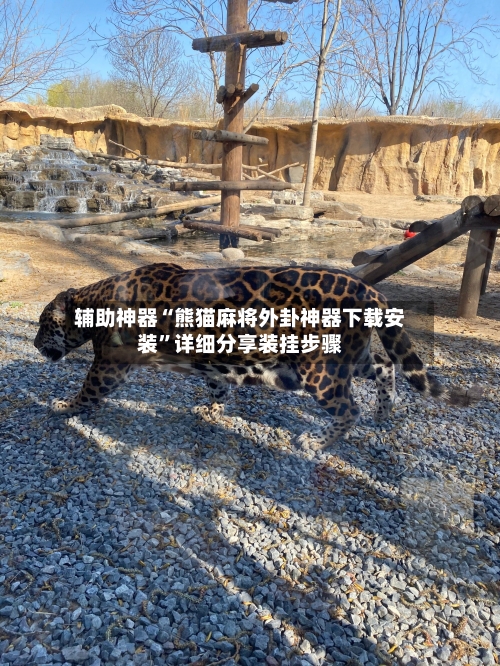 辅助神器“熊猫麻将外卦神器下载安装”详细分享装挂步骤-第2张图片