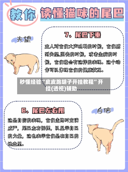 秒懂经验“皮皮跑胡子开挂教程”开挂(透视)辅助-第3张图片