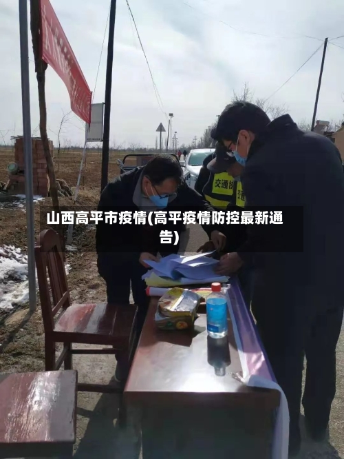 山西高平市疫情(高平疫情防控最新通告)-第3张图片