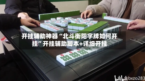 开挂辅助神器“北斗衡阳字牌如何开挂”开挂辅助脚本+详细开挂-第2张图片