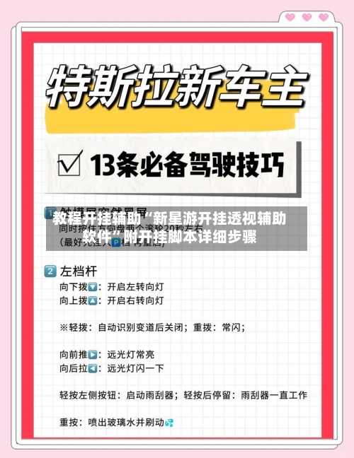教程开挂辅助“新星游开挂透视辅助软件”附开挂脚本详细步骤