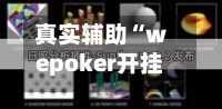 真实辅助“wepoker开挂辅助挂透视挂”(详细透视教程)-第3张图片