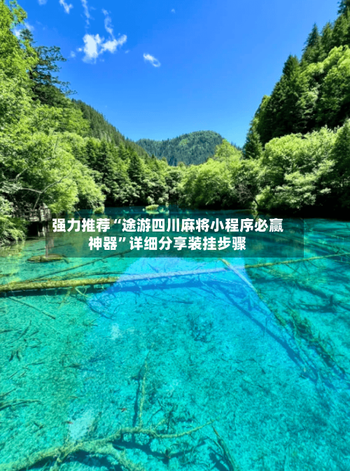 强力推荐“途游四川麻将小程序必赢神器	”详细分享装挂步骤-第2张图片