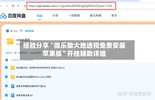 经验分享“微乐锄大地透视免费安装苹果版”开挂辅助详细-第2张图片