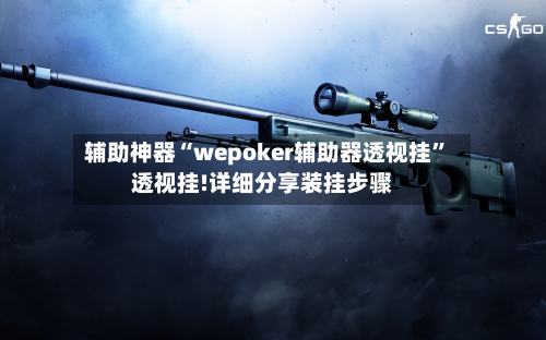 辅助神器“wepoker辅助器透视挂	”透视挂!详细分享装挂步骤-第2张图片