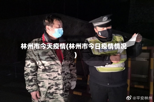 林州市今天疫情(林州市今日疫情情况)-第2张图片