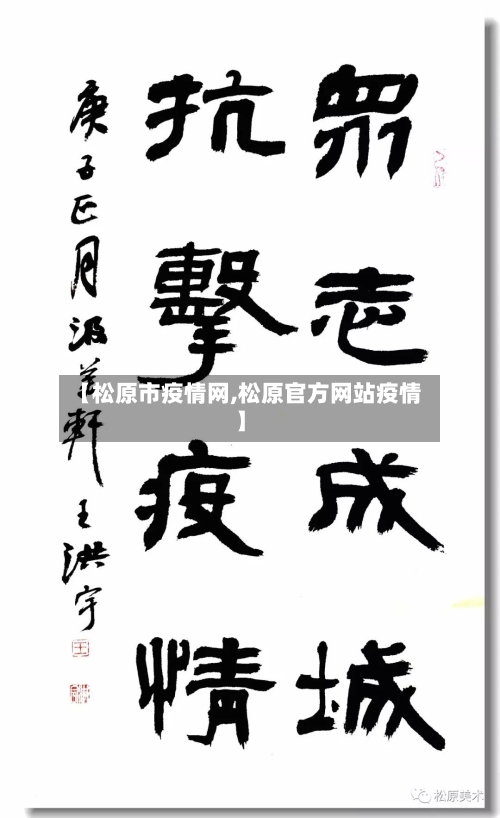 【松原市疫情网,松原官方网站疫情】