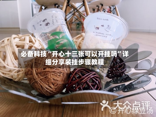 必备科技“开心十三张可以开挂吗	”详细分享装挂步骤教程-第2张图片