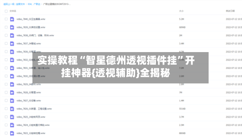 实操教程“智星德州透视插件挂	”开挂神器{透视辅助}全揭秘-第2张图片