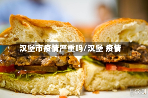 汉堡市疫情严重吗/汉堡 疫情-第3张图片