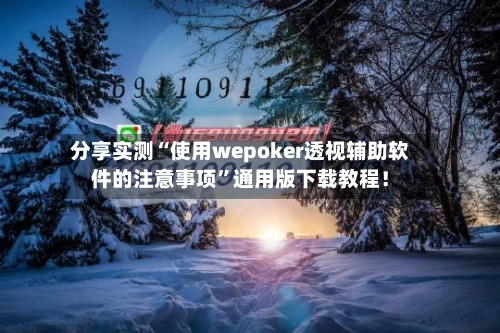 分享实测“使用wepoker透视辅助软件的注意事项”通用版下载教程！-第3张图片