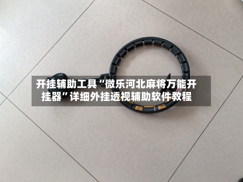 开挂辅助工具“微乐河北麻将万能开挂器”详细外挂透视辅助软件教程-第2张图片