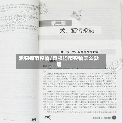 宠物狗市疫情/宠物狗市疫情怎么处理