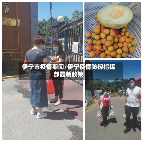 伊宁市疫情期间/伊宁疫情防控指挥部最新政策-第3张图片