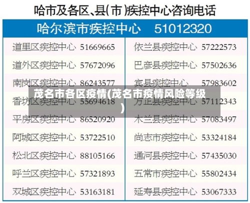 茂名市各区疫情(茂名市疫情风险等级)