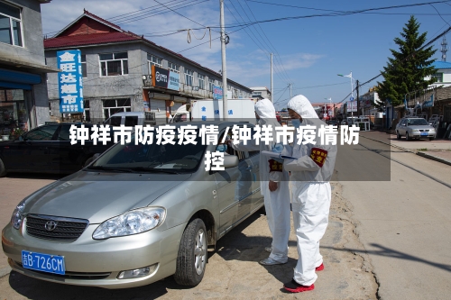 钟祥市防疫疫情/钟祥市疫情防控