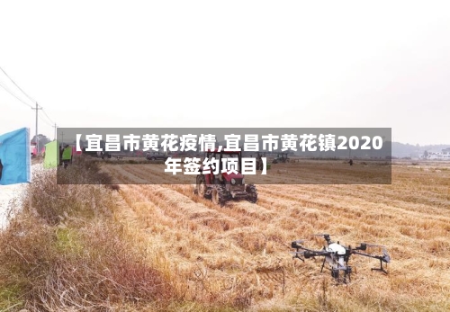 【宜昌市黄花疫情,宜昌市黄花镇2020年签约项目】