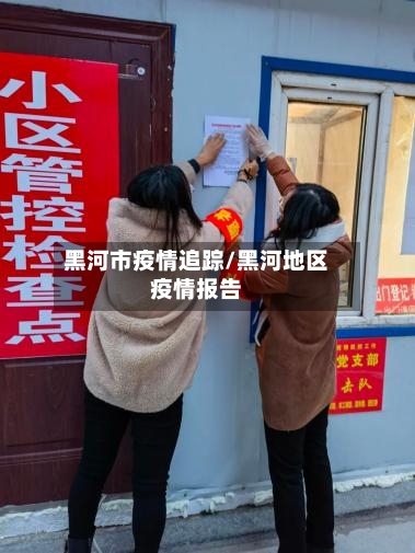 黑河市疫情追踪/黑河地区疫情报告