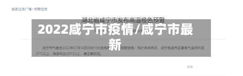 2022咸宁市疫情/咸宁市最新