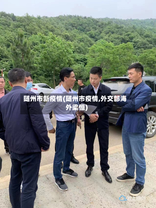 随州市新疫情(随州市疫情,外交部海外梁恒)-第3张图片