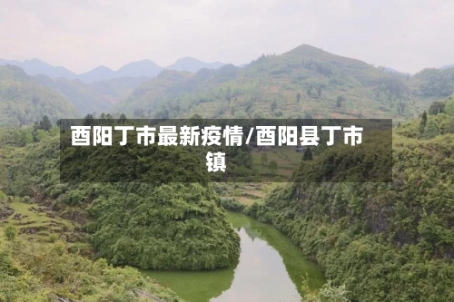 酉阳丁市最新疫情/酉阳县丁市镇