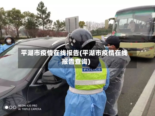 平湖市疫情在线报告(平湖市疫情在线报告查询)-第3张图片