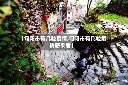 【旬阳市有几粒疫情,旬阳市有几粒疫情感染者】-第2张图片