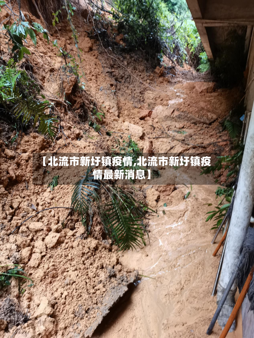 【北流市新圩镇疫情,北流市新圩镇疫情最新消息】
