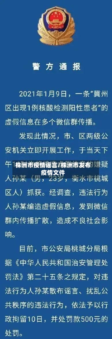 株洲市疫情谣言/株洲市发布疫情文件