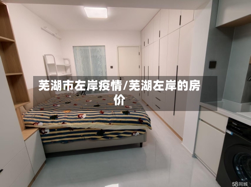 芜湖市左岸疫情/芜湖左岸的房价-第2张图片