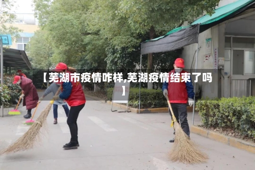 【芜湖市疫情咋样,芜湖疫情结束了吗】