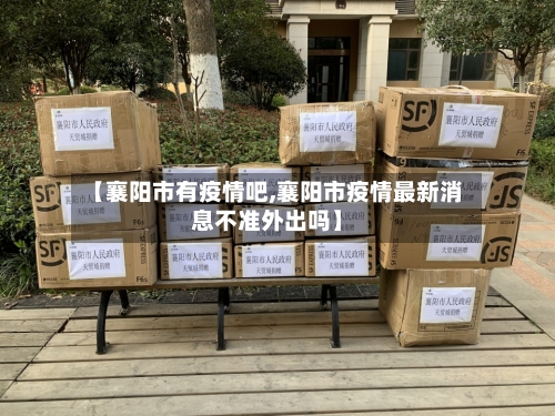 【襄阳市有疫情吧,襄阳市疫情最新消息不准外出吗】-第2张图片