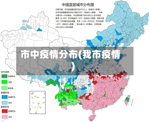 市中疫情分布(我市疫情)-第2张图片