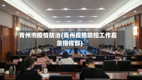 青州市疫情防治(青州疫情防控工作应急指挥部)