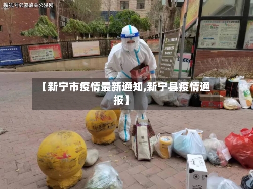 【新宁市疫情最新通知,新宁县疫情通报】-第2张图片
