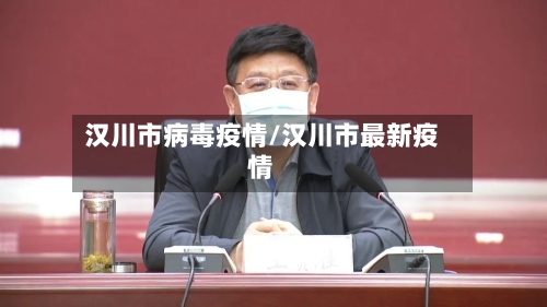 汉川市病毒疫情/汉川市最新疫情