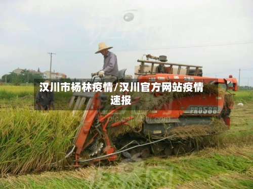 汉川市杨林疫情/汉川官方网站疫情速报