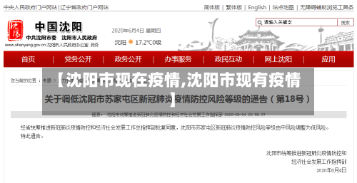 【沈阳市现在疫情,沈阳市现有疫情】-第2张图片
