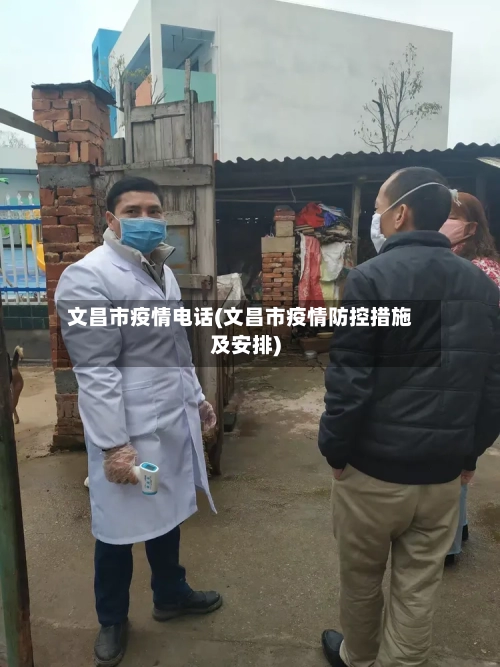 文昌市疫情电话(文昌市疫情防控措施及安排)-第2张图片