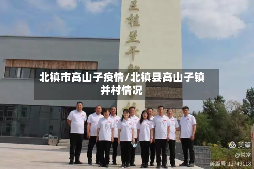 北镇市高山子疫情/北镇县高山子镇并村情况